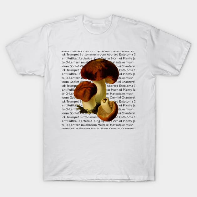 Fungi T-Shirt by ReignyNightz